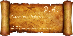 Pipernea Ambrus névjegykártya